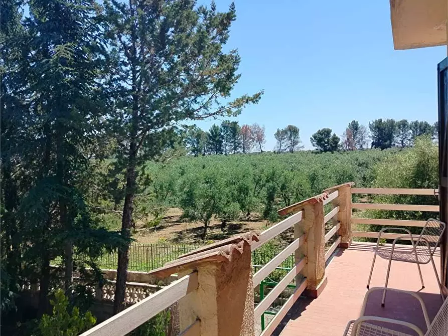 Immagine 18 di Villa in vendita  a Bitonto