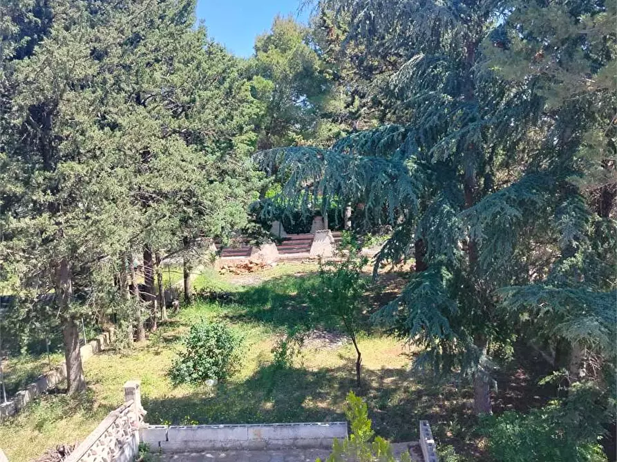 Immagine 20 di Villa in vendita  a Bitonto