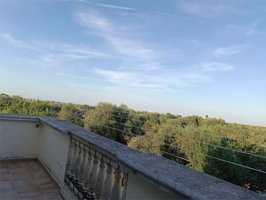 Immagine 17 di Villa in vendita  a Bitonto