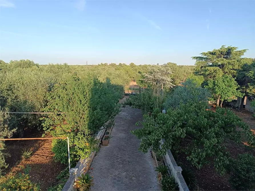 Immagine 19 di Villa in vendita  a Bitonto