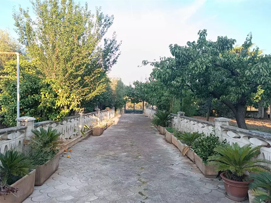 Immagine 47 di Villa in vendita  a Bitonto
