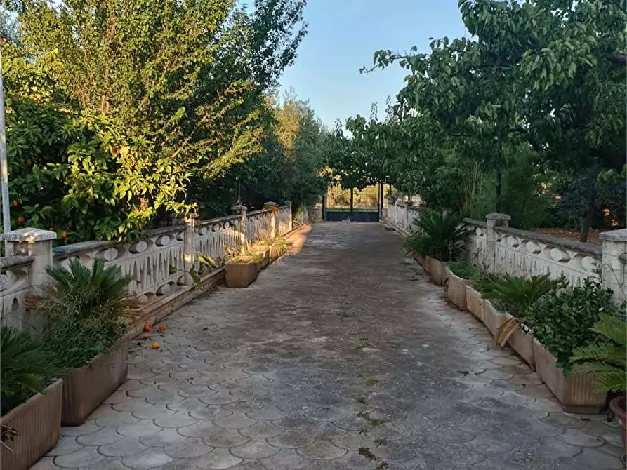 Immagine 48 di Villa in vendita  a Bitonto