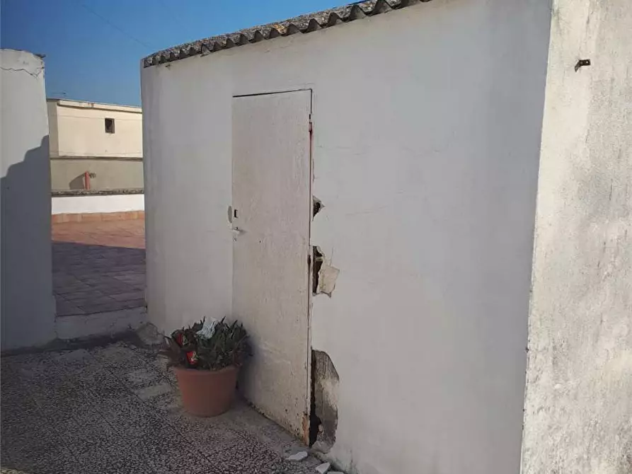 Immagine 18 di Appartamento in vendita  a Bitonto