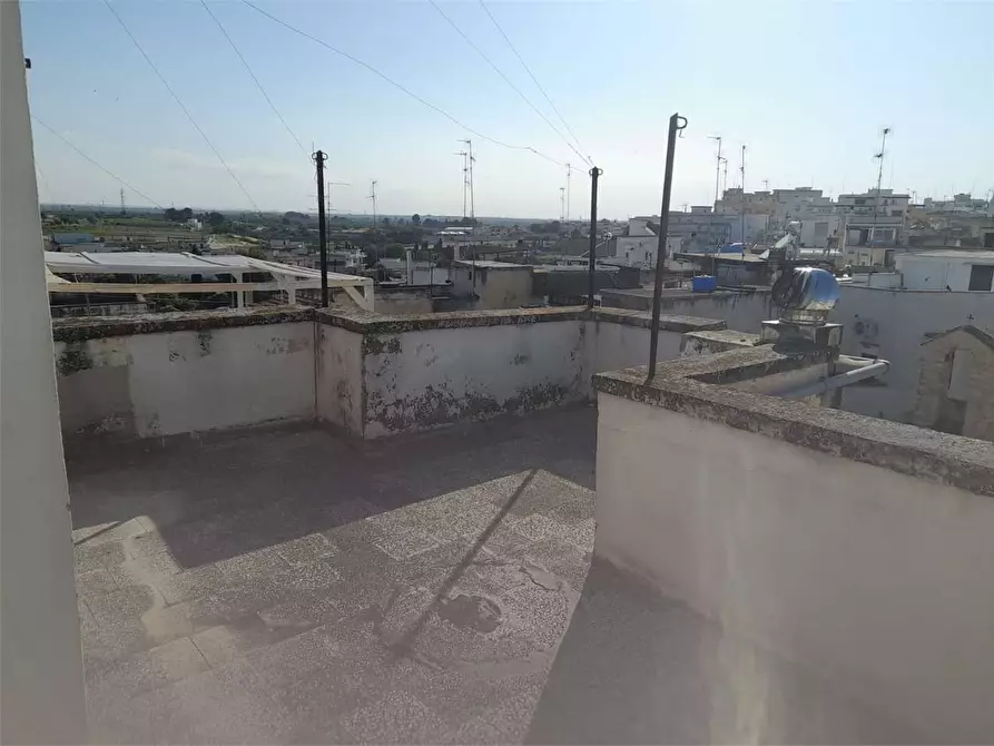 Immagine 31 di Appartamento in vendita  a Bitonto