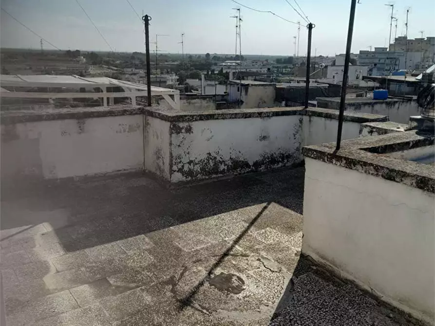 Immagine 32 di Appartamento in vendita  a Bitonto