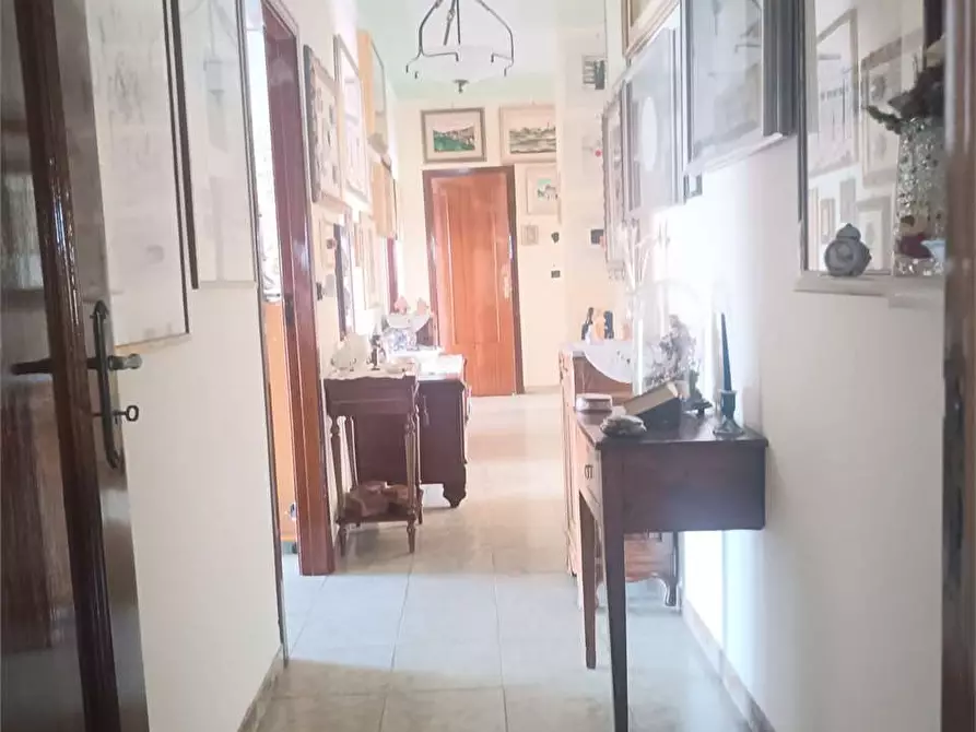 Immagine 5 di Appartamento in vendita  a Bitonto