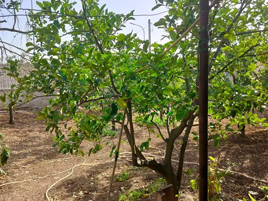 Immagine 17 di Villa in vendita  a Bitonto