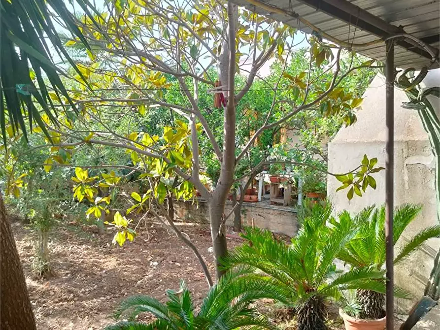 Immagine 19 di Villa in vendita  a Bitonto