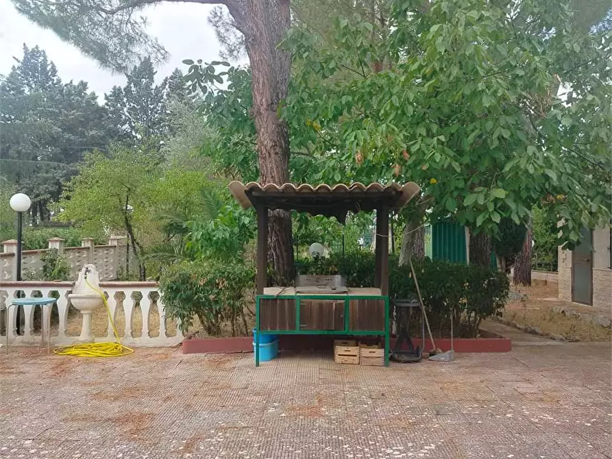 Immagine 13 di Villa in vendita  a Bitonto