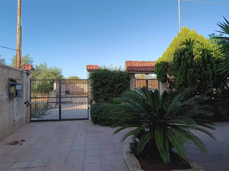 Immagine 11 di Casa indipendente in vendita  a Bitonto