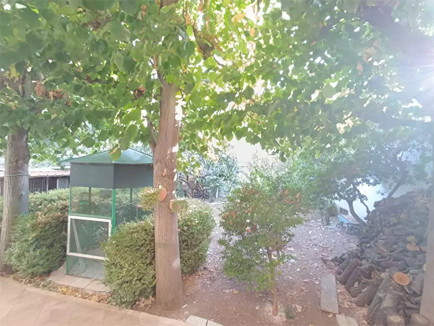 Immagine 14 di Casa indipendente in vendita  a Bitonto