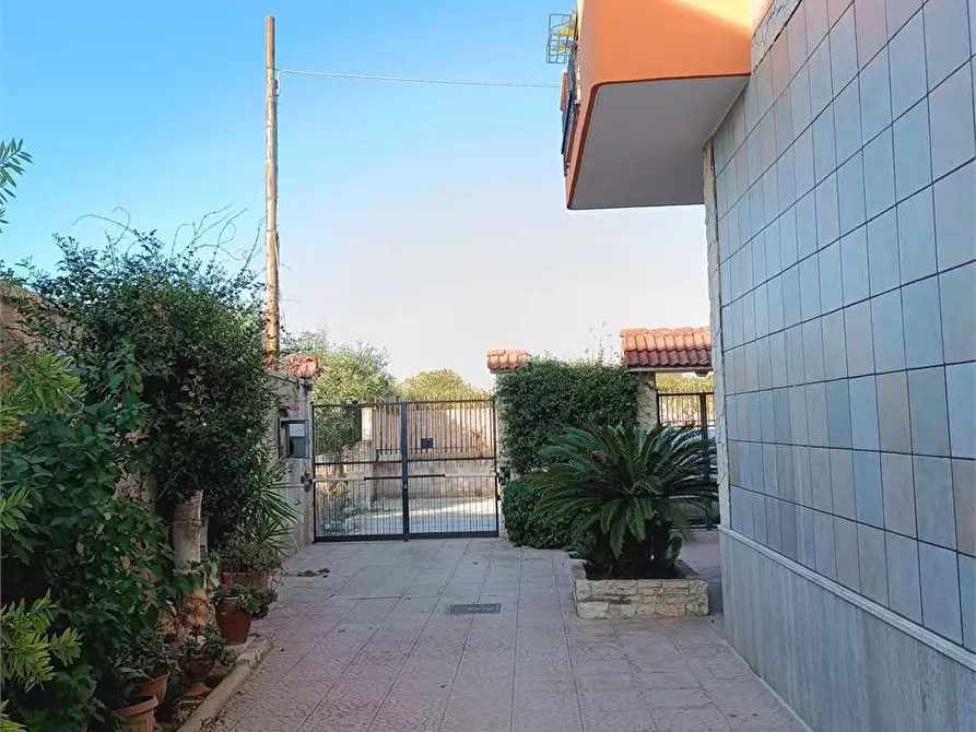 Immagine 4 di Casa indipendente in vendita  a Bitonto