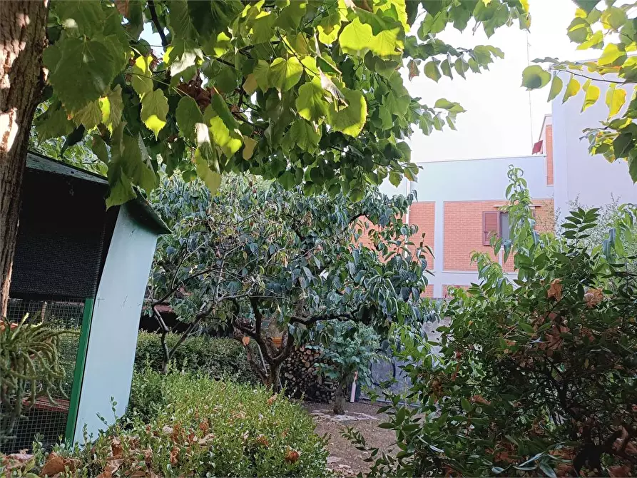 Immagine 17 di Casa indipendente in vendita  a Bitonto