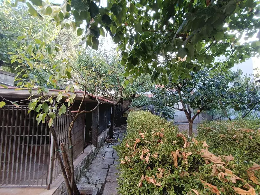 Immagine 18 di Casa indipendente in vendita  a Bitonto