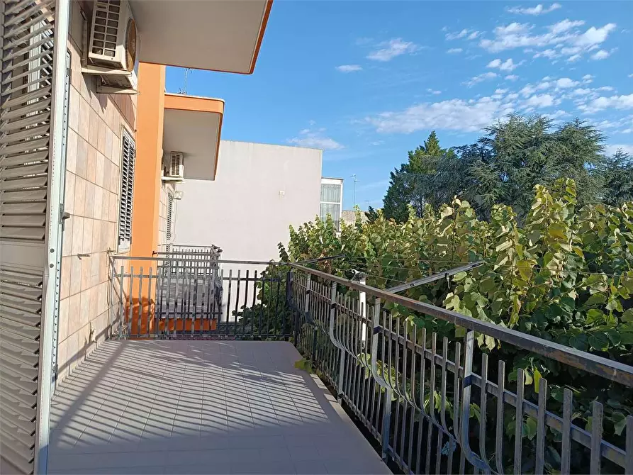 Immagine 39 di Casa indipendente in vendita  a Bitonto