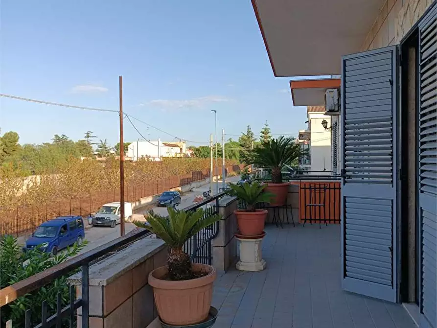 Immagine 6 di Casa indipendente in vendita  a Bitonto