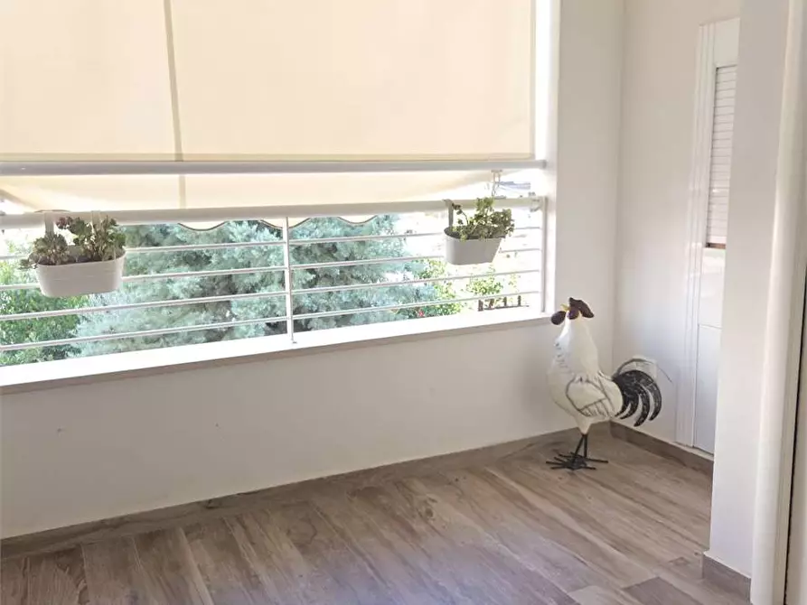 Immagine 13 di Appartamento in vendita  a Bitonto