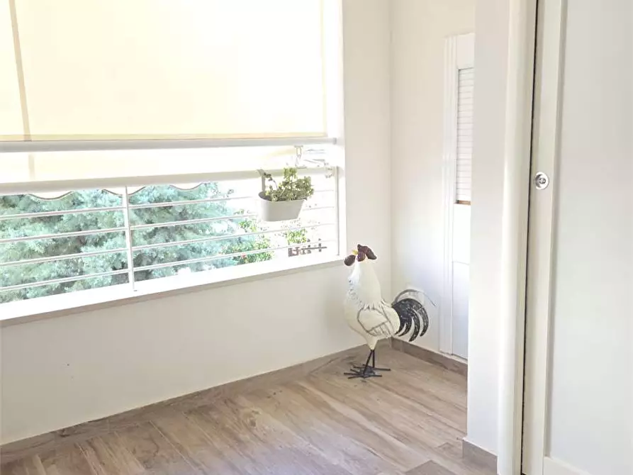 Immagine 32 di Appartamento in vendita  a Bitonto