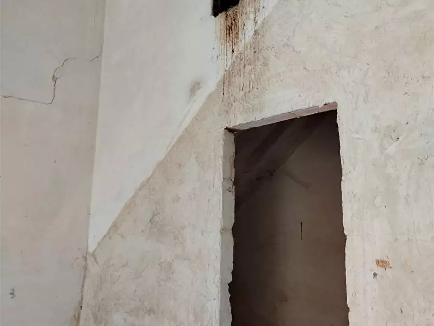 Immagine 4 di Terreno edificabile in vendita  a Bitonto