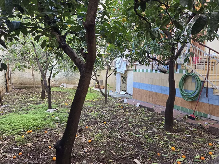 Immagine 5 di Appartamento in vendita  a Bitonto