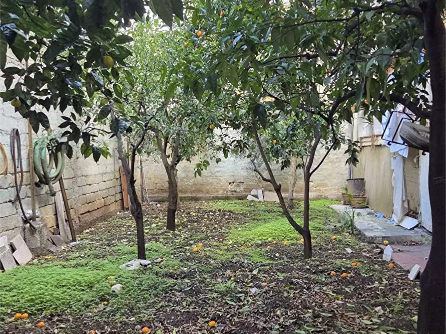 Immagine 6 di Appartamento in vendita  a Bitonto