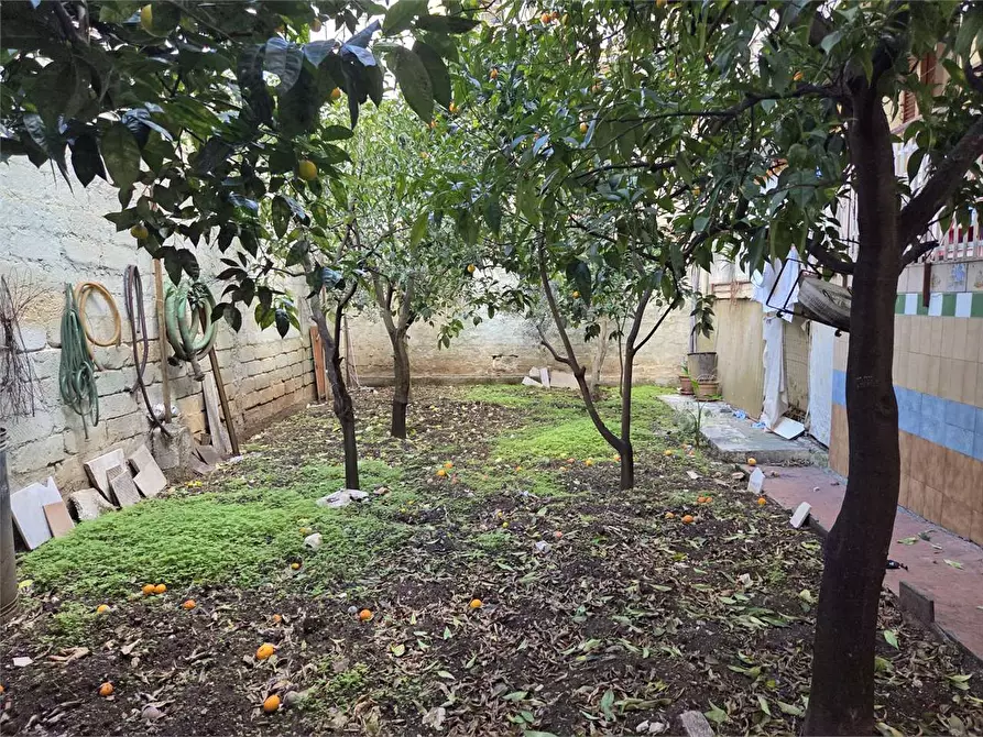 Immagine 7 di Appartamento in vendita  a Bitonto