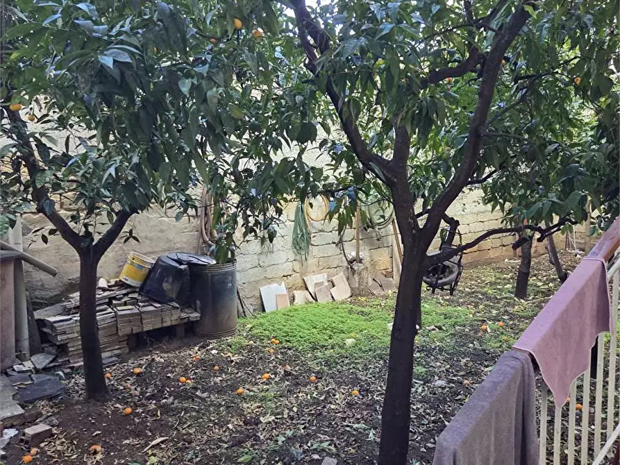 Immagine 9 di Appartamento in vendita  a Bitonto