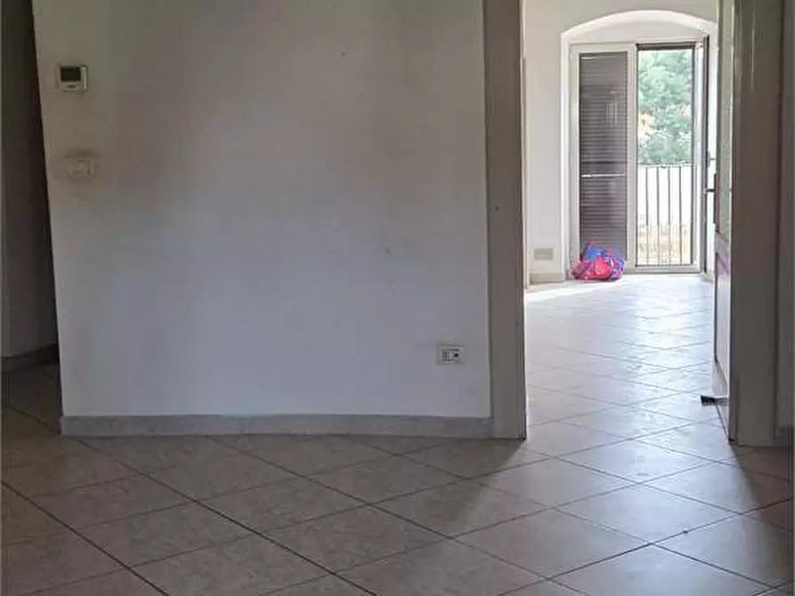 Immagine 7 di Trilocale in vendita  a Bitonto