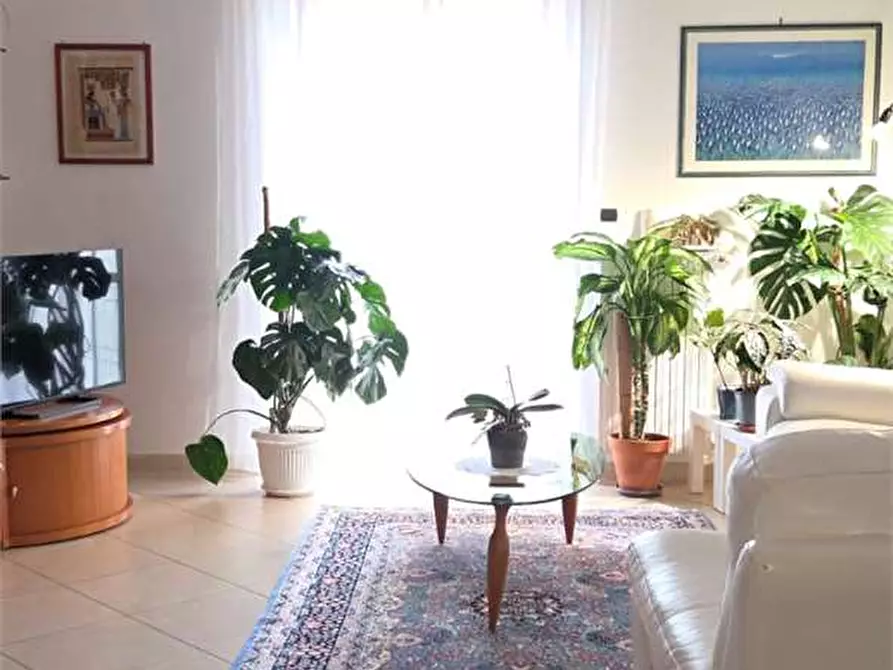 Immagine 2 di Appartamento in vendita  a Bitonto