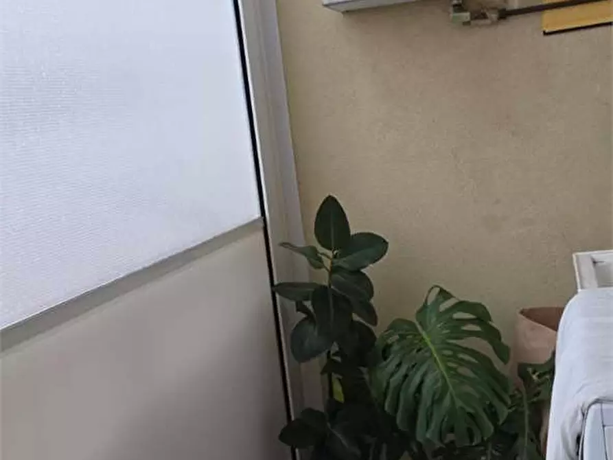 Immagine 4 di Appartamento in vendita  a Bitonto