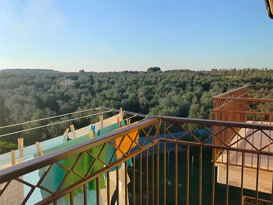 Immagine 24 di Appartamento in vendita  a Bitonto