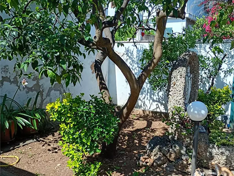 Immagine 25 di Casa indipendente in vendita  in Via Udine 26 a Bari
