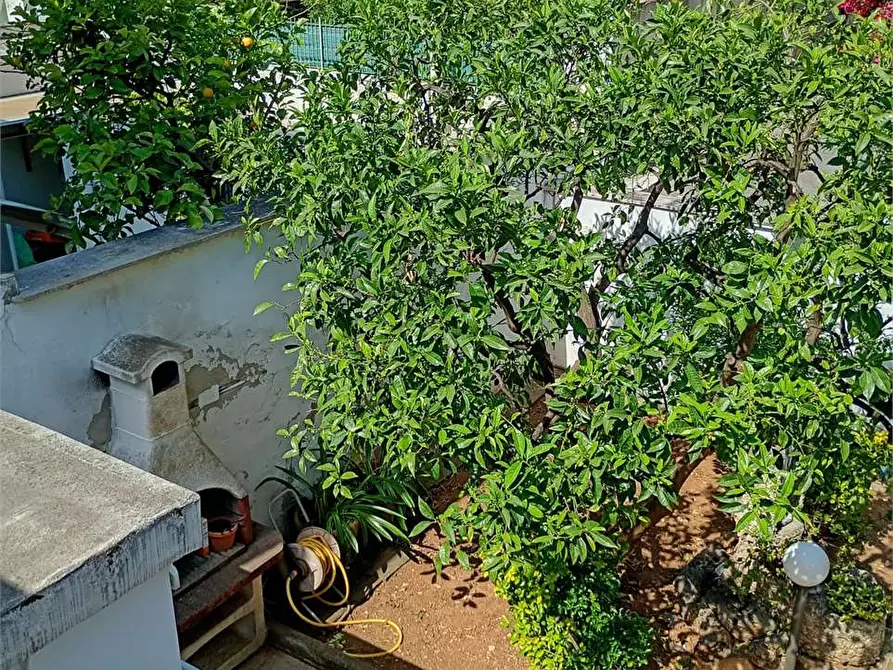 Immagine 32 di Casa indipendente in vendita  in Via Udine 26 a Bari