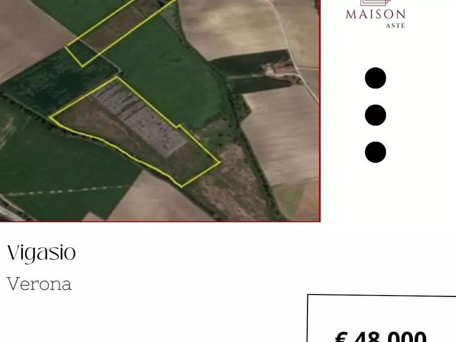 Immagine 1 di Terreno agricolo in vendita  in Via Edith Stein snc a Vigasio