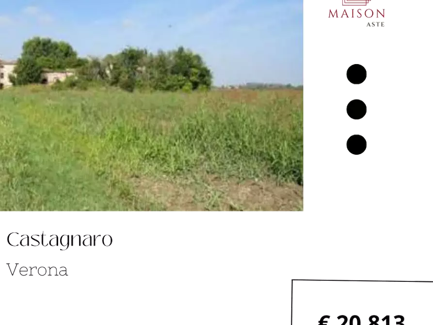 Immagine 1 di Terreno agricolo in vendita  in Valle Menà snc a Castagnaro