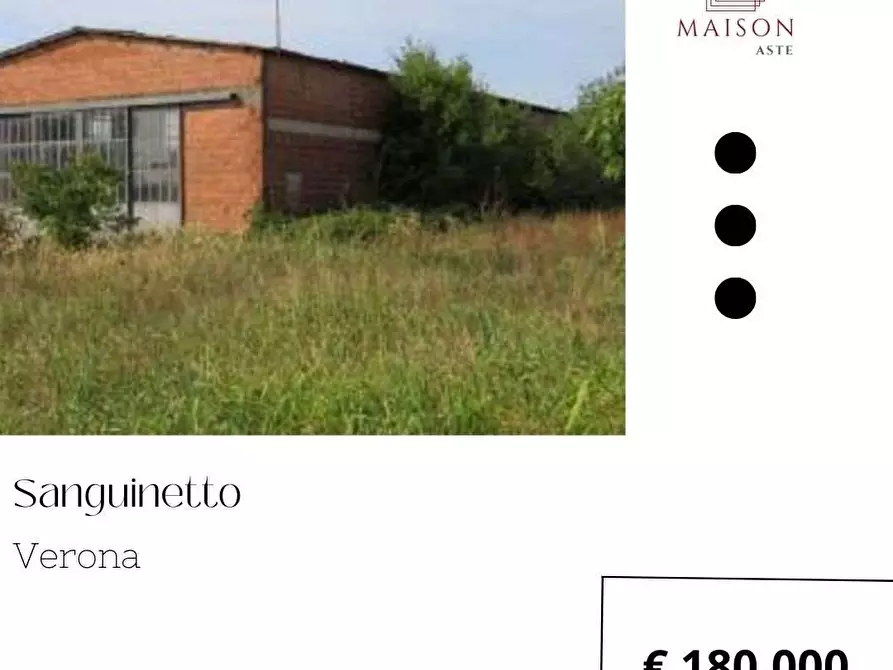 Immagine 1 di Capannone industriale in vendita  in Via Dossi snc a Sanguinetto