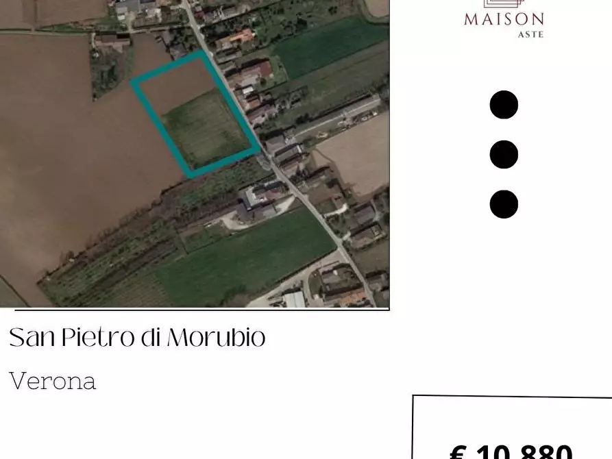 Immagine 1 di Terreno agricolo in vendita  in Strada Provinciale  45/a a San Pietro Di Morubio