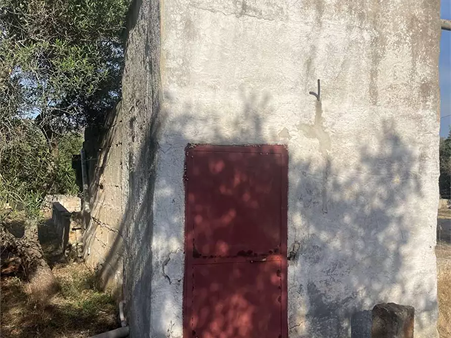 Immagine 1 di Villa in vendita  in contrada varvolla 1 a San Vito Dei Normanni