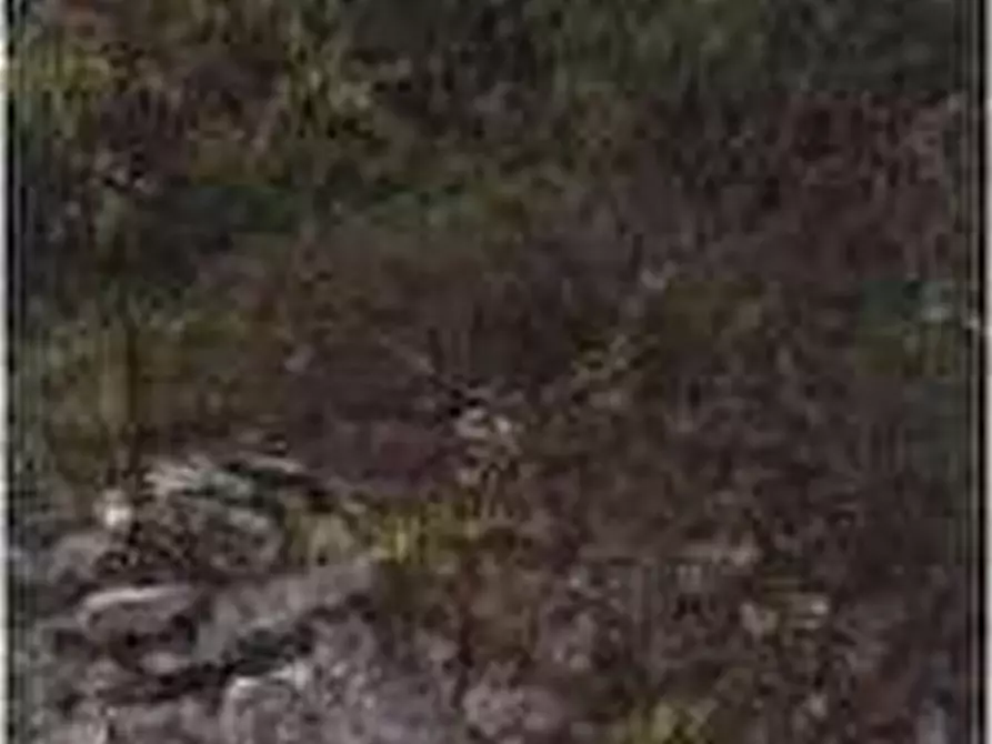 Immagine 90 di Capannone industriale in vendita  in Via Don G. Calabria 5 a Grezzana