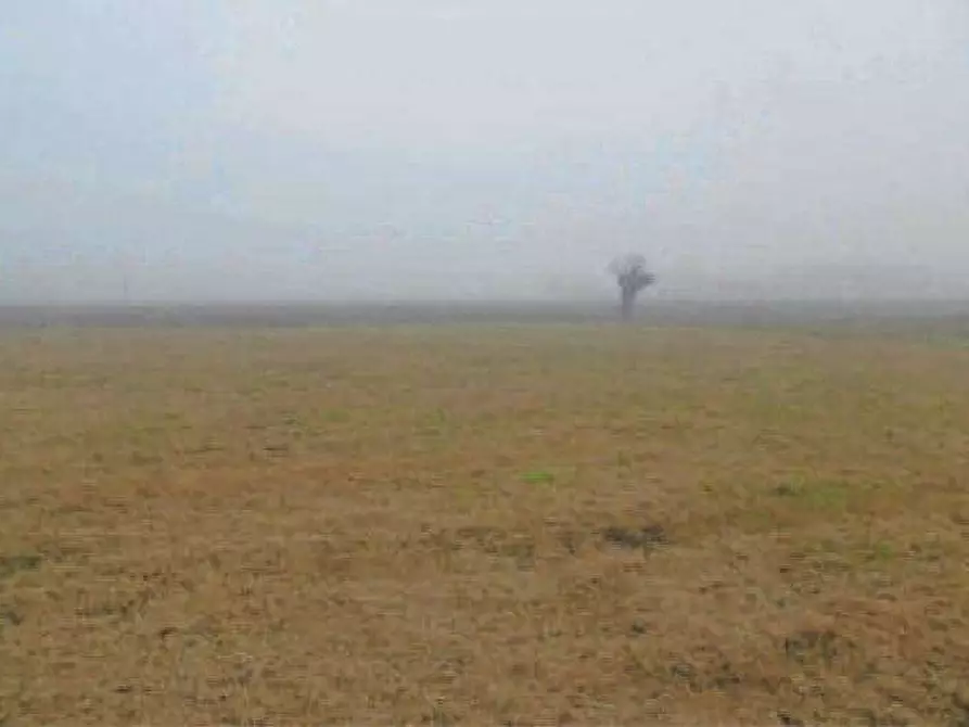 Immagine 9 di Porzione di casa in vendita  in Via Facciabella,  1/B a Casaleone