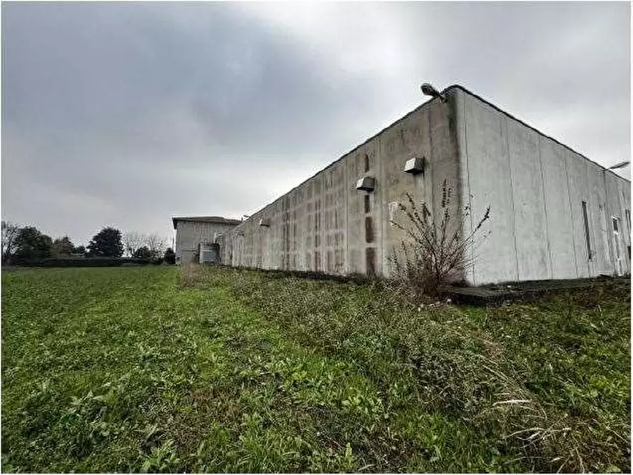 Immagine 84 di Capannone industriale in vendita  in Via Cicogna 5 a Roveredo Di Gua'