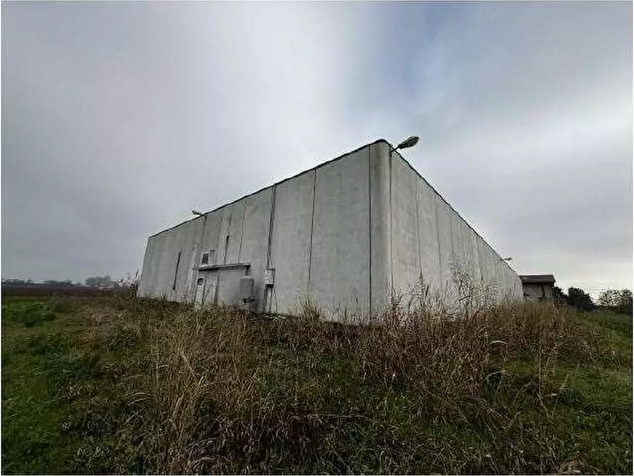 Immagine 83 di Capannone industriale in vendita  in Via Cicogna 5 a Roveredo Di Gua'