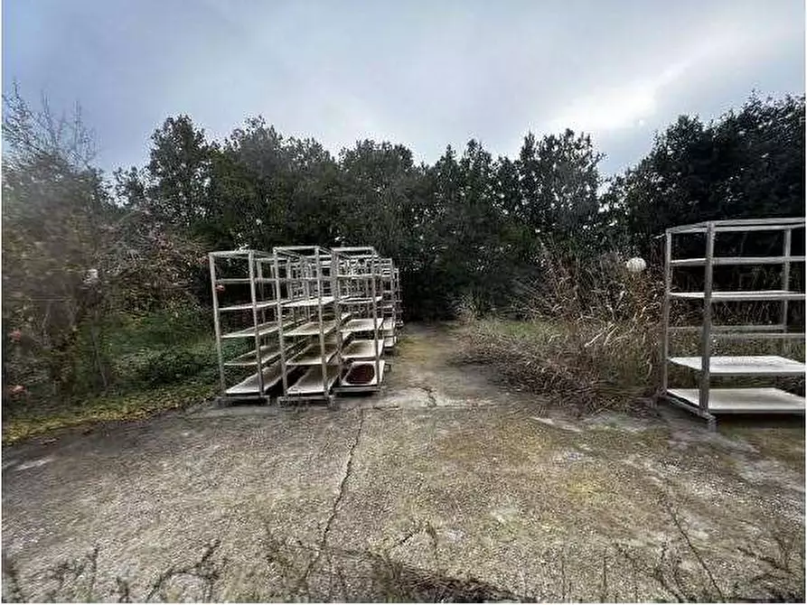 Immagine 79 di Capannone industriale in vendita  in Via Cicogna 5 a Roveredo Di Gua'