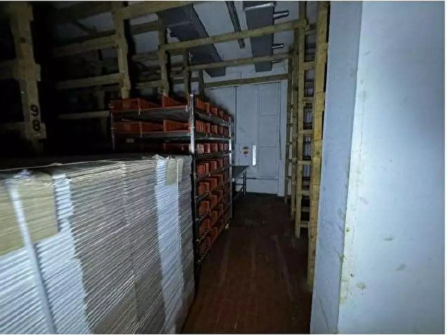 Immagine 74 di Capannone industriale in vendita  in Via Cicogna 5 a Roveredo Di Gua'