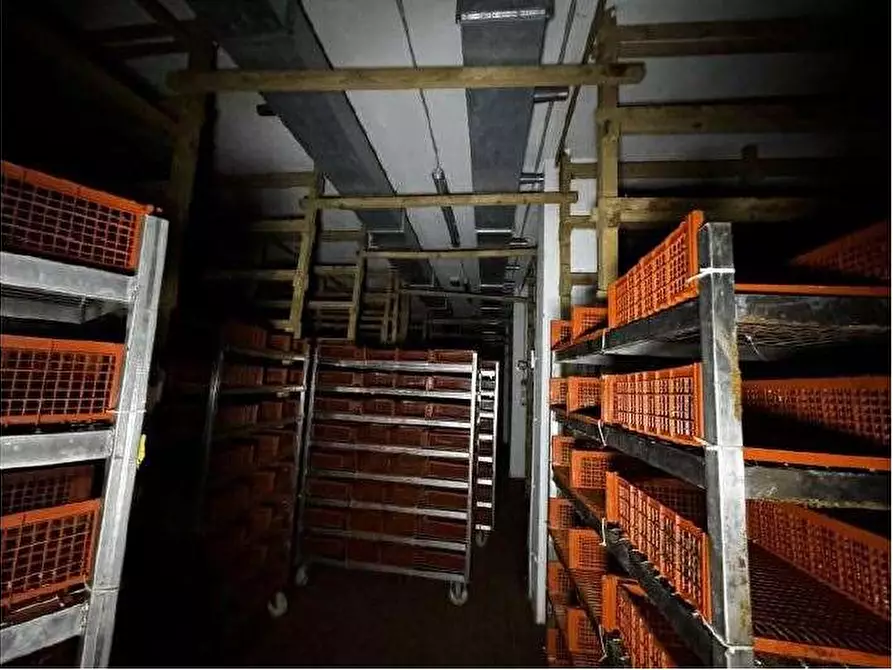 Immagine 73 di Capannone industriale in vendita  in Via Cicogna 5 a Roveredo Di Gua'