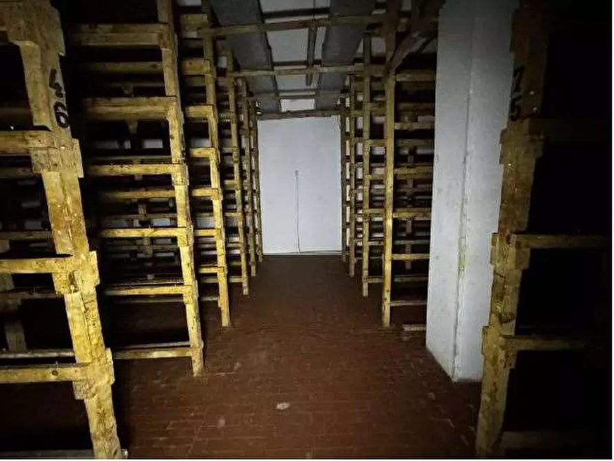 Immagine 69 di Capannone industriale in vendita  in Via Cicogna 5 a Roveredo Di Gua'