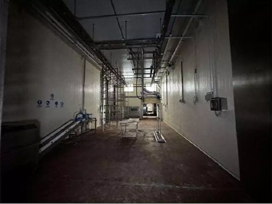 Immagine 56 di Capannone industriale in vendita  in Via Cicogna 5 a Roveredo Di Gua'