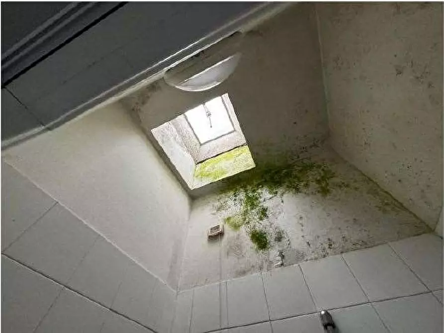 Immagine 46 di Capannone industriale in vendita  in Via Cicogna 5 a Roveredo Di Gua'