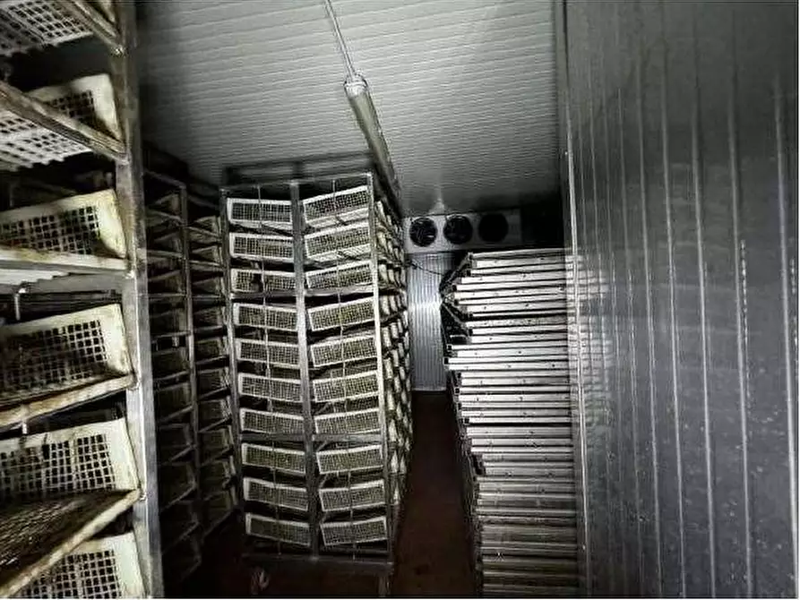 Immagine 41 di Capannone industriale in vendita  in Via Cicogna 5 a Roveredo Di Gua'