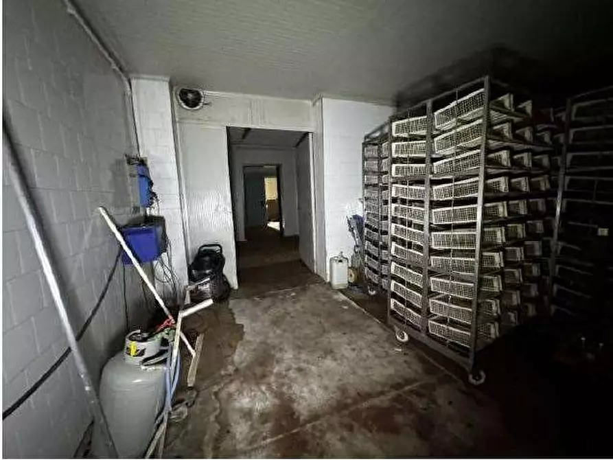 Immagine 40 di Capannone industriale in vendita  in Via Cicogna 5 a Roveredo Di Gua'